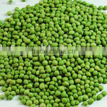 Green Mung Bean(China Origin)