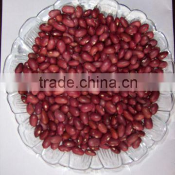 Japanese Red Kidney Bean