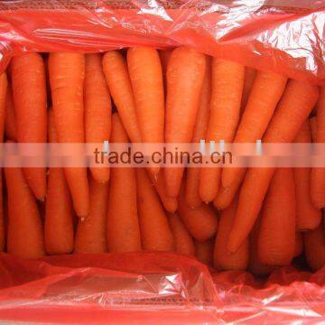 S L M fresh carrot from china