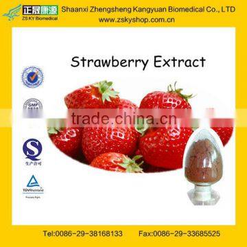Strawberry Fruit Extract from GMP Certified Manufacturer