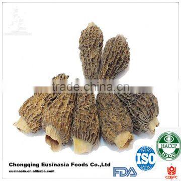 dried morchella esculenta/price of black morel mushroom/dried morel mushroom