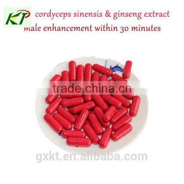 medicine for long time sex cordyceps sinensis extract capsule for male