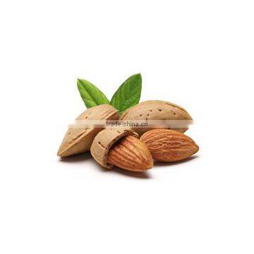 Hot sale Product of Almond Oil