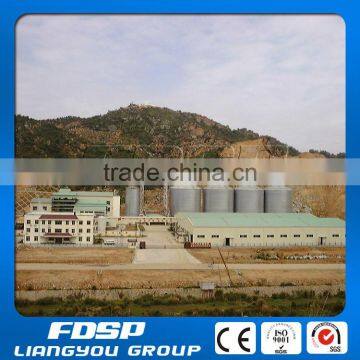 PLC Control Farm Steel Silo For Sale Paddy Rice Silo