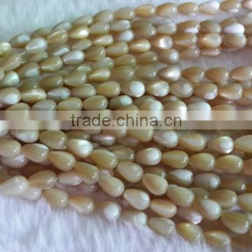 Trochus shell bead for necklace