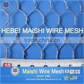Qualified Hexagonal Wire Mesh photo-2