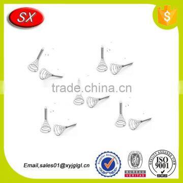 rc Stainless Steel 316L 304 Extension Spring photo-4