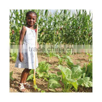 Large Spade Yellow Outdoor Toys Garden Tool Toys photo-3