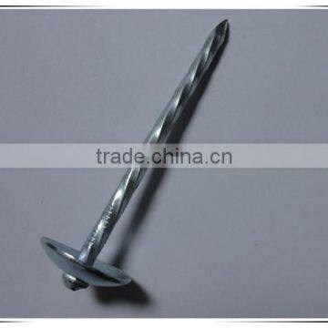 2 Inch Umbrella Head Roofing Nail Twisted Shank Roofing Nail With Factory Price photo-4