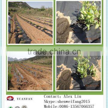 30gsm 50gsm 80gsm 100gsm Black Small Roll Non Woven Used for Gardening Weed Mat photo-4