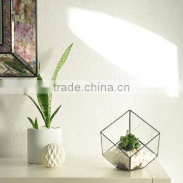 Indoor Gardening Geometric Glass Terrarium Container Succulent Planter photo-5