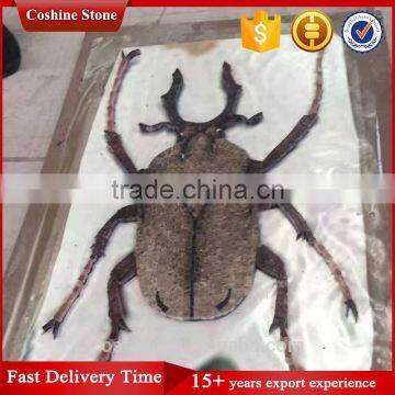 Eternal live dung beetle marble stone mosaic model