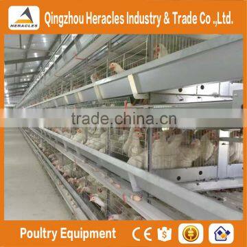  best selling poultry farming layer chicken cage-H type 4 or 5 layers for egg chicken