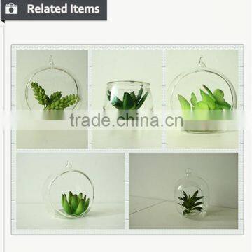 Artificial Succulent Home Decorative Tropical Plants Small Manufacturing Plant photo-3
