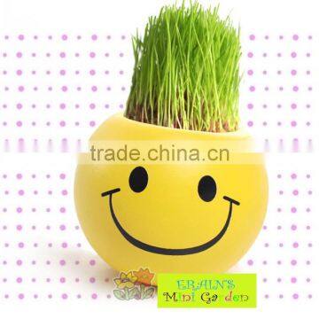 Mini Garden Growing Grass Hair Toy Growing Grass Head Toys 002-2(ceramic Colour Glaze) photo-5