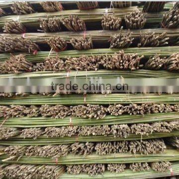 Bamboo Poles/bamboo Canes From Chinese Factory photo-3