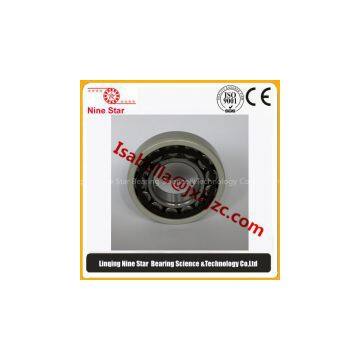 Electric Motor Bearings Supplier