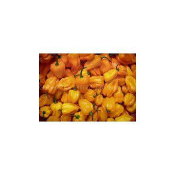 yellow pepper