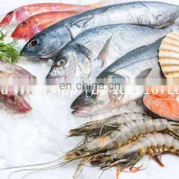 Frozen Beef Cold Storage Cold Chain Cold Warehouse photo-5