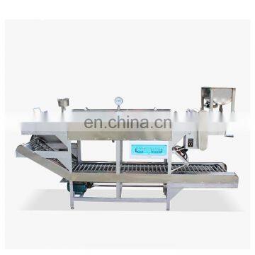 Factory Directly Price Small Fresh Rice Noodle Making Machine Egg Vermicelli Machine photo-2