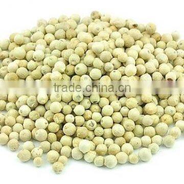 White Pepper Grade A Hot Sales