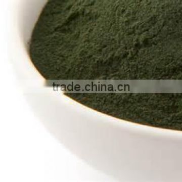 Organic Spirulina powder for sale