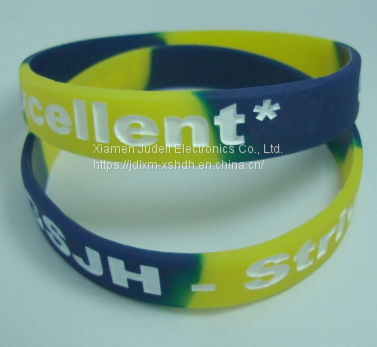 Color Segmented Silicone WristBand