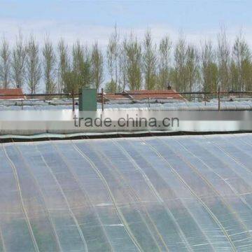 Chinese manufacturer greenhouse film 200 micron with great price