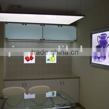 High Power LED Light