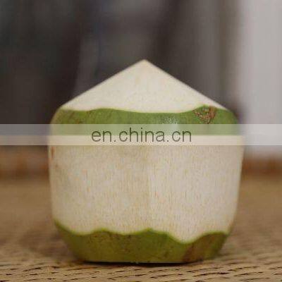 Coconut Vietnam High Quality Competitive Price photo-3