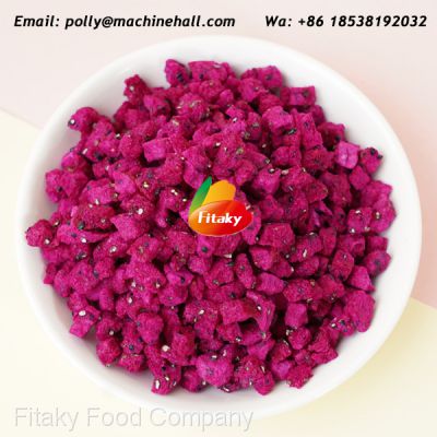 High Quality Freeze Dried Dragon Fruit Slices Wholesale Price