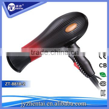 ZT-8818-2 Hair Dryer New Style Fashion Hair Dryer with Diffuser