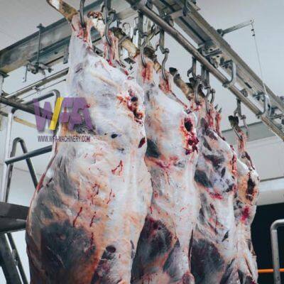 Design Mini Cow Slaughterhouse Equipment Cattle Halal Meat Processing Slaughter Machine photo-4