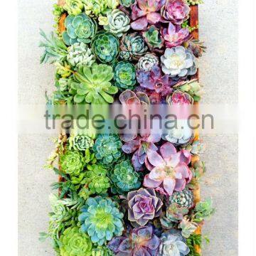 artificial wall flower arrangement