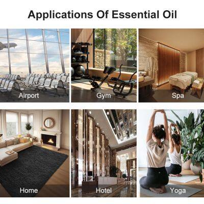 OEM Private Label Available Aroma Machine Friendly No Residue 0% Alcohol Formula Scent Marketing Oil photo-4