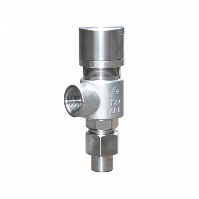 Manufacturer Direct Sales A21H Safety Valve photo-4