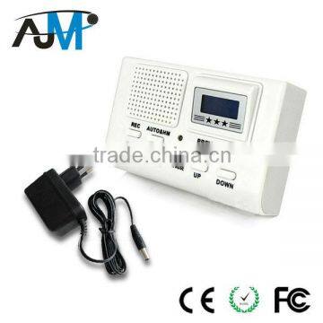 High Quality Digital Voice Recorder With LED Display , Micro Hidden Voice Recorder