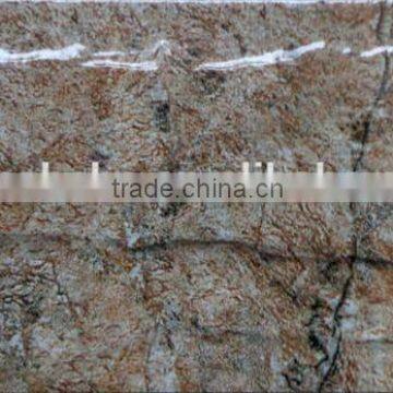 6D Inkjet painting wall tile for outdoor building 100x200mm