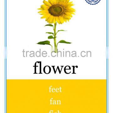 Memory Card Printing photo-2