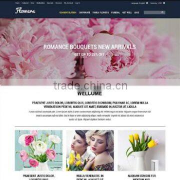 Web Design and Development Company photo-2