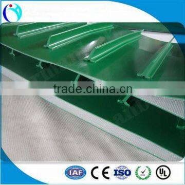 DIY Food Grade PVC Flat Belting Conveyor photo-3