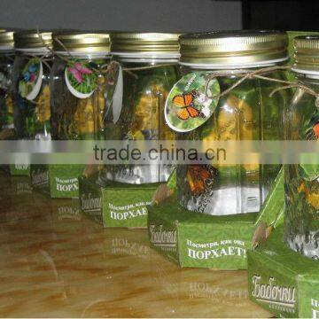 Flying Butterfly Glass Jar Solar Jar lights