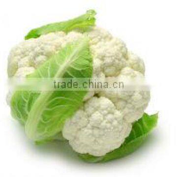 Frozen Cauliflower