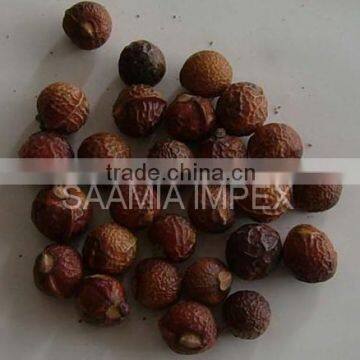 Wash Nut /Soap Nut for natural shampoo and hair tonic