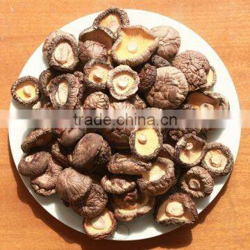 Cogumelo Shiitake Seco -250g*30 per carton