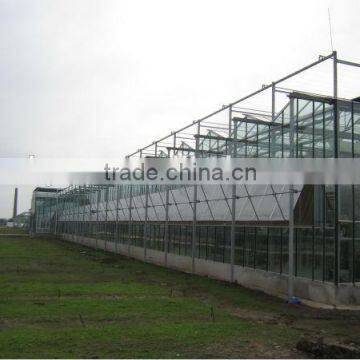 Multi Span Commercial Glass Greenhouse Greenhouse