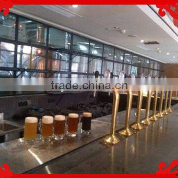 500l Brewery Factory Beer Brewing Equipment for Pub