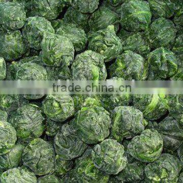 Frozen Spinach Ball Spinach Block photo-2