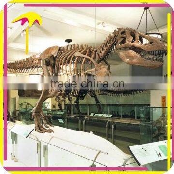 KANO0436 Science Centers Artificial Jurassic Park Dinosaur Fossil