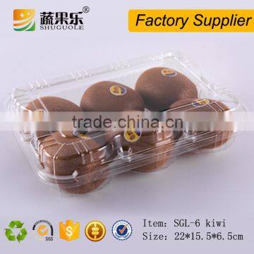 Hot sale 6 kiwi fruit use packaging box